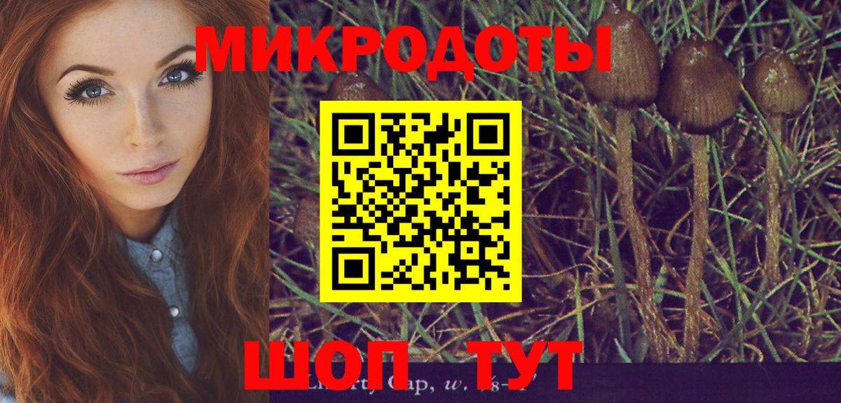 Пушкино  Псилоцибиновые грибы мицелий  Вход с VPN 