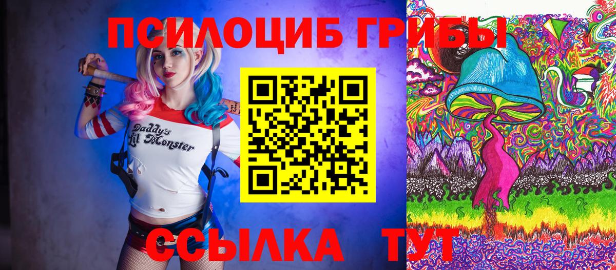 Галлюциногенные грибы Magic Shrooms  Псилоцибиновые грибы Psilocybe  Пушкино 